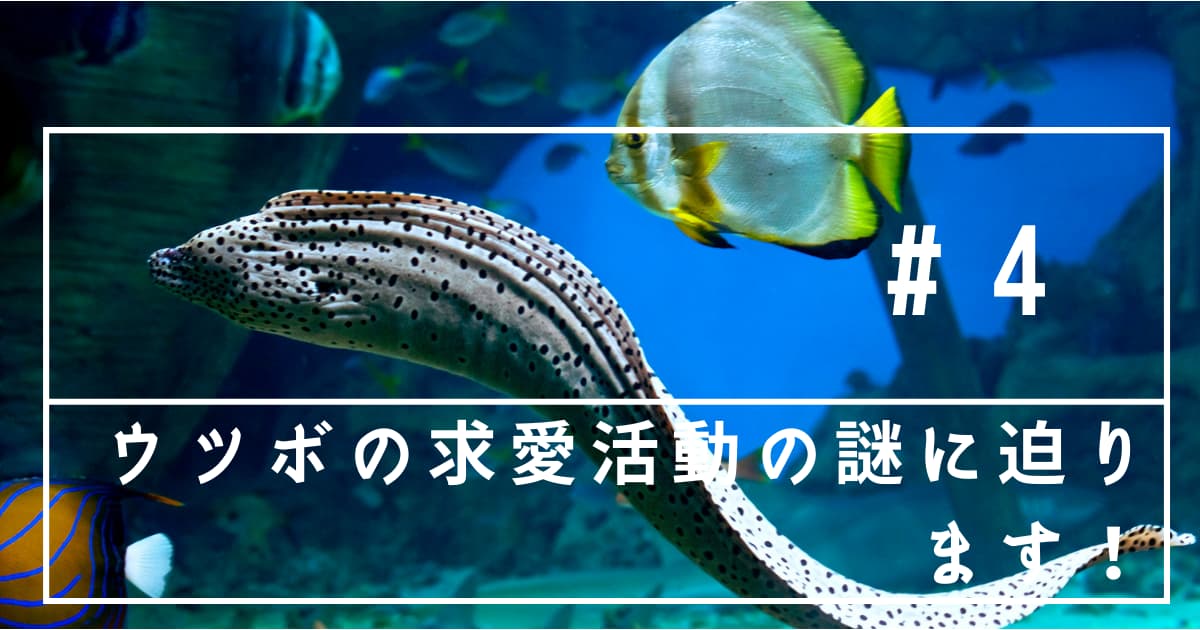 ウツボの求愛に関してわかったこと 未来を掴む ブルーのトレンド情報